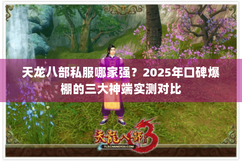 天龙八部私服哪家强?2025年口碑爆棚的三大神端实测对比 天龙八部私服哪家强?2025年口碑爆棚的三大神端实测对比
