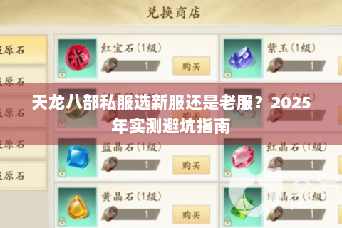天龙八部私服选新服还是老服？2025年实测避坑指南