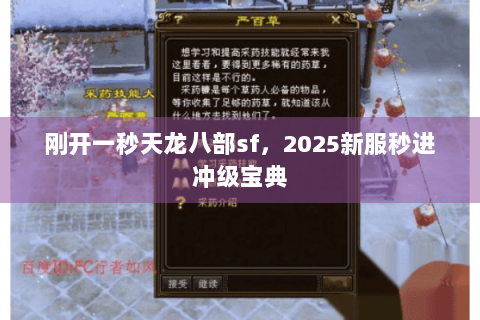 刚开一秒天龙八部sf，2025新服秒进冲级宝典