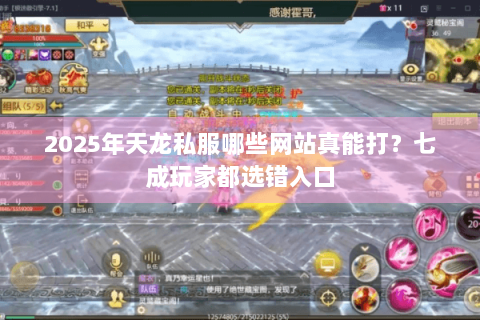 2025年天龙私服哪些网站真能打?七成玩家都选错入口 2025年天龙私服哪些网站真能打?七成玩家都选错入口