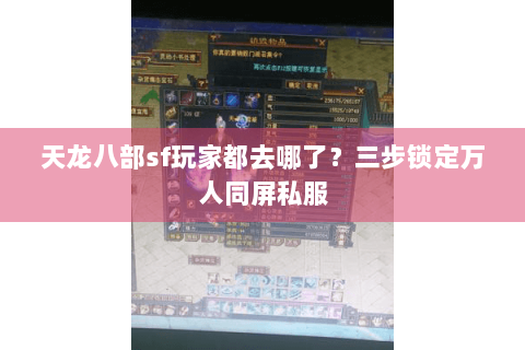 天龙八部sf玩家都去哪了？三步锁定万人同屏私服