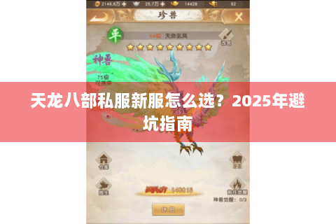 天龙八部私服新服怎么选?2025年避坑指南 天龙八部私服新服怎么选?2025年避坑指南