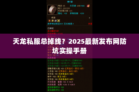 天龙私服总掉线？2025最新发布网防坑实操手册