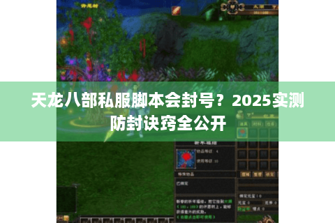 天龙八部私服脚本会封号?2025实测防封诀窍全公开 天龙八部私服脚本会封号?2025实测防封诀窍全公开