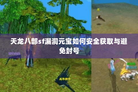 天龙八部sf漏洞元宝如何安全获取与避免封号 天龙八部sf漏洞元宝如何安全获取与避免封号