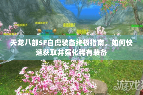 天龙八部SF白虎装备终极指南，如何快速获取并强化稀有装备