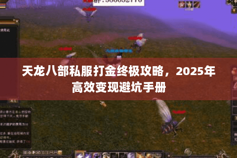 天龙八部私服打金终极攻略，2025年高效变现避坑手册