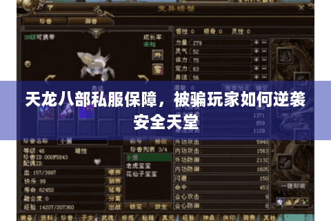 天龙八部私服保障，被骗玩家如何逆袭安全天堂