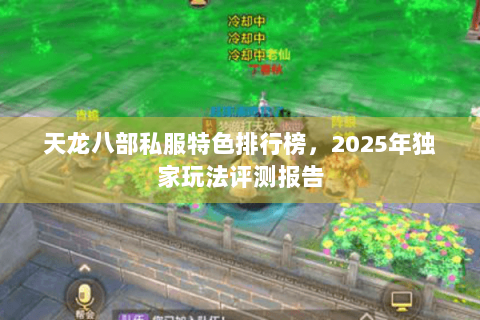 天龙八部私服特色排行榜，2025年独家玩法评测报告