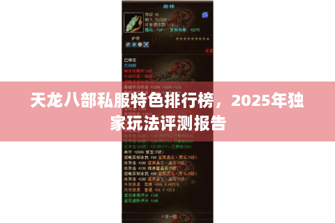 天龙八部私服特色排行榜，2025年独家玩法评测报告