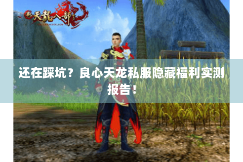 还在踩坑？良心天龙私服隐藏福利实测报告！