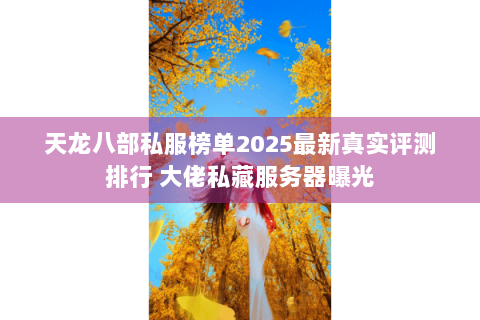 天龙八部私服榜单2025最新真实评测排行 大佬私藏服务器曝光