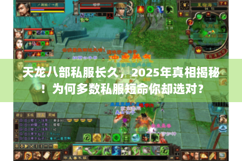 天龙八部私服长久,2025年真相揭秘!为何多数私服短命你却选对? 天龙八部私服长久,2025年真相揭秘!为何多数私服短命你却选对?