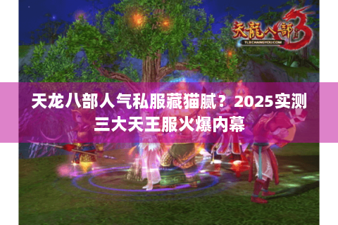 天龙八部人气私服藏猫腻？2025实测三大天王服火爆内幕