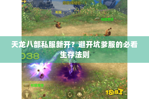 天龙八部私服新开？避开坑爹服的必看生存法则