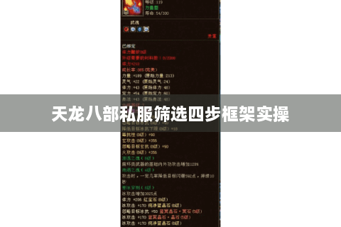 天龙八部私服筛选四步框架实操 天龙八部私服筛选四步框架实操