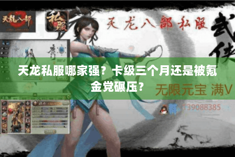 天龙私服哪家强?卡级三个月还是被氪金党碾压? 天龙私服哪家强?卡级三个月还是被氪金党碾压?