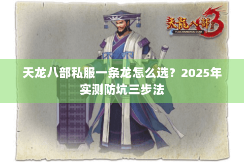 天龙八部私服一条龙怎么选？2025年实测防坑三步法