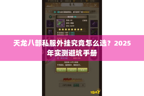 天龙八部私服外挂究竟怎么选?2025年实测避坑手册 天龙八部私服外挂究竟怎么选?2025年实测避坑手册