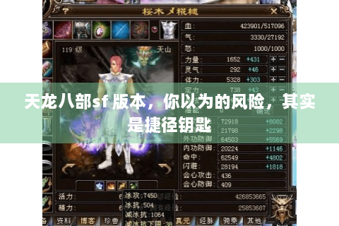 天龙八部sf 版本,你以为的风险,其实是捷径钥匙 天龙八部sf 版本,你以为的风险,其实是捷径钥匙