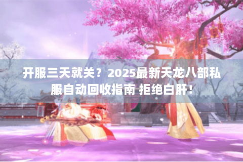 开服三天就关？2025最新天龙八部私服自动回收指南 拒绝白肝！