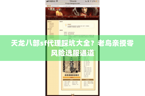 天龙八部sf代理踩坑大全?老鸟亲授零风险选服通道 天龙八部sf代理踩坑大全?老鸟亲授零风险选服通道
