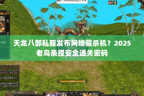 天龙八部私服发布网暗藏杀机？2025老鸟亲授安全通关密码
