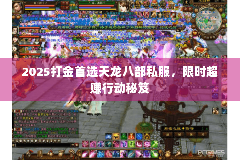 2025打金首选天龙八部私服，限时超赚行动秘笈