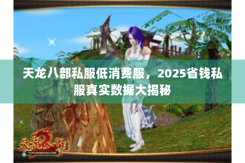 天龙八部私服低消费服,2025省钱私服真实数据大揭秘 天龙八部私服低消费服,2025省钱私服真实数据大揭秘