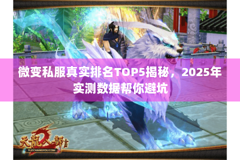 微变私服真实排名TOP5揭秘，2025年实测数据帮你避坑