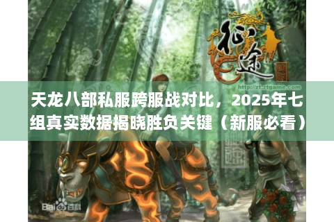天龙八部私服跨服战对比，2025年七组真实数据揭晓胜负关键（新服必看）