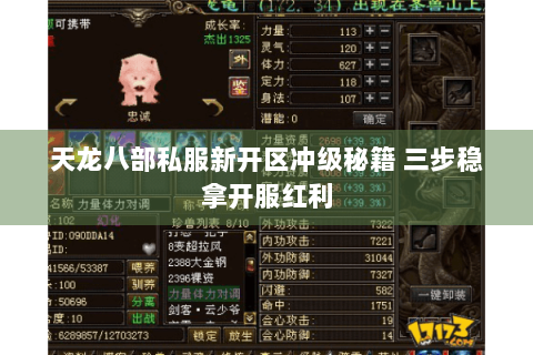 天龙八部私服新开区冲级秘籍 三步稳拿开服红利 天龙八部私服新开区冲级秘籍 三步稳拿开服红利