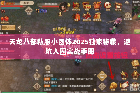 天龙八部私服小团体2025独家秘藏，避坑入圈实战手册