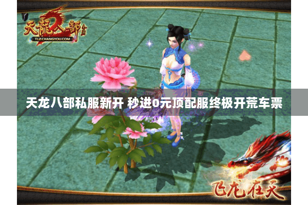 天龙八部私服新开 秒进0元顶配服终极开荒车票