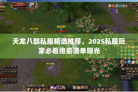 天龙八部私服精选推荐,2025私服玩家必看绝密清单曝光 天龙八部私服精选推荐,2025私服玩家必看绝密清单曝光