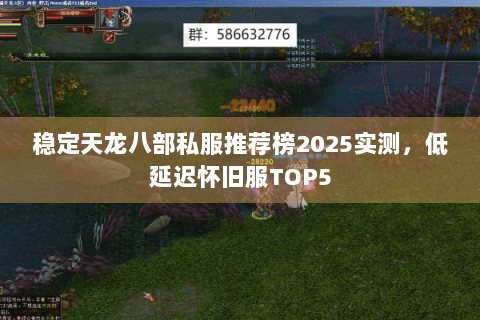 稳定天龙八部私服推荐榜2025实测，低延迟怀旧服TOP5