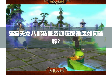 猫猫天龙八部私服资源获取难题如何破解？