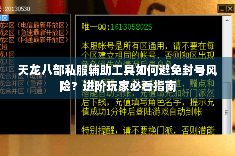 天龙八部私服辅助工具如何避免封号风险?进阶玩家必看指南 天龙八部私服辅助工具如何避免封号风险?进阶玩家必看指南