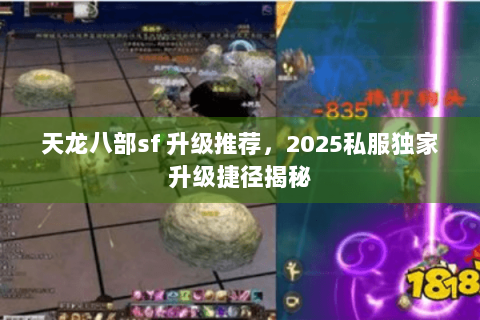 天龙八部sf 升级推荐，2025私服独家升级捷径揭秘