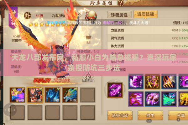 天龙八部发布网，私服小白为啥总被骗？资深玩家亲授防坑三步法