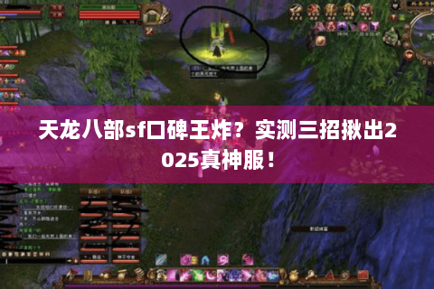 天龙八部sf口碑王炸?实测三招揪出2025真神服! 天龙八部sf口碑王炸?实测三招揪出2025真神服!