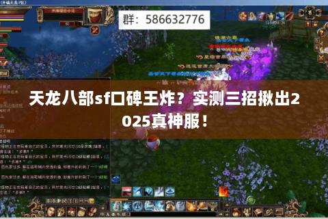 天龙八部sf口碑王炸?实测三招揪出2025真神服! 天龙八部sf口碑王炸?实测三招揪出2025真神服!