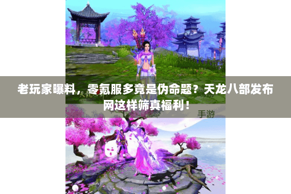 老玩家曝料，零氪服多竟是伪命题？天龙八部发布网这样筛真福利！