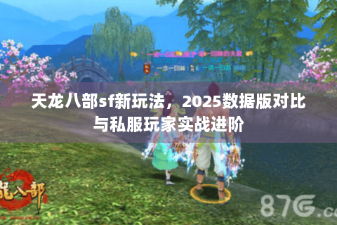 天龙八部sf新玩法，2025数据版对比与私服玩家实战进阶