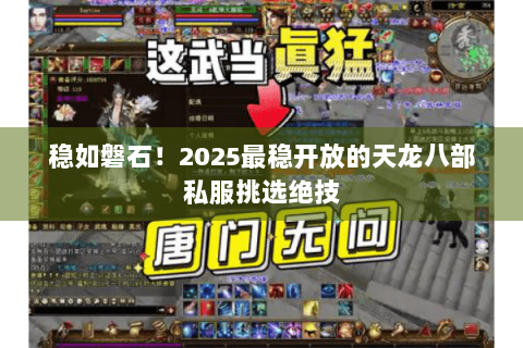 稳如磐石！2025最稳开放的天龙八部私服挑选绝技