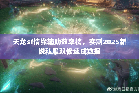 天龙sf情缘辅助效率榜，实测2025新锐私服双修速成数据