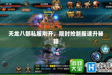 天龙八部私服刚开，限时抢新服速升秘籍