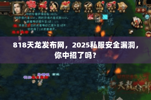 818天龙发布网，2025私服安全漏洞，你中招了吗？