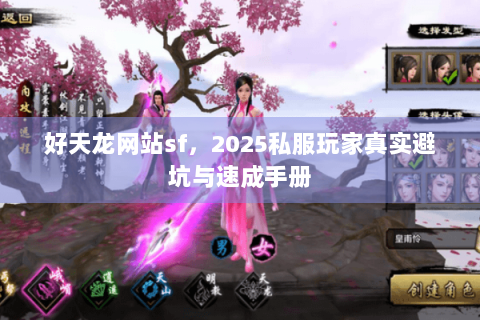 好天龙网站sf,2025私服玩家真实避坑与速成手册 好天龙网站sf,2025私服玩家真实避坑与速成手册