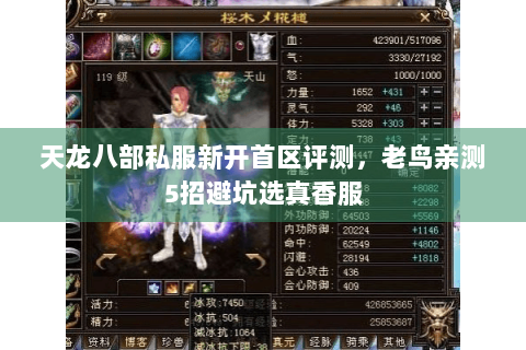 天龙八部私服新开首区评测，老鸟亲测5招避坑选真香服